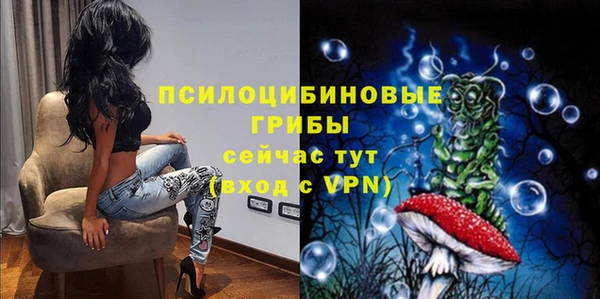 кокс Алексин