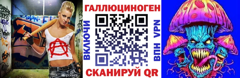 блэк спрут как войти  купить наркотик  Сальск  Галлюциногенные грибы Magic Shrooms 